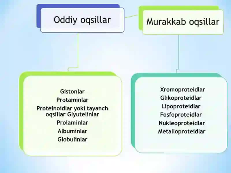 Oddiy va murakkaboqsillar 3