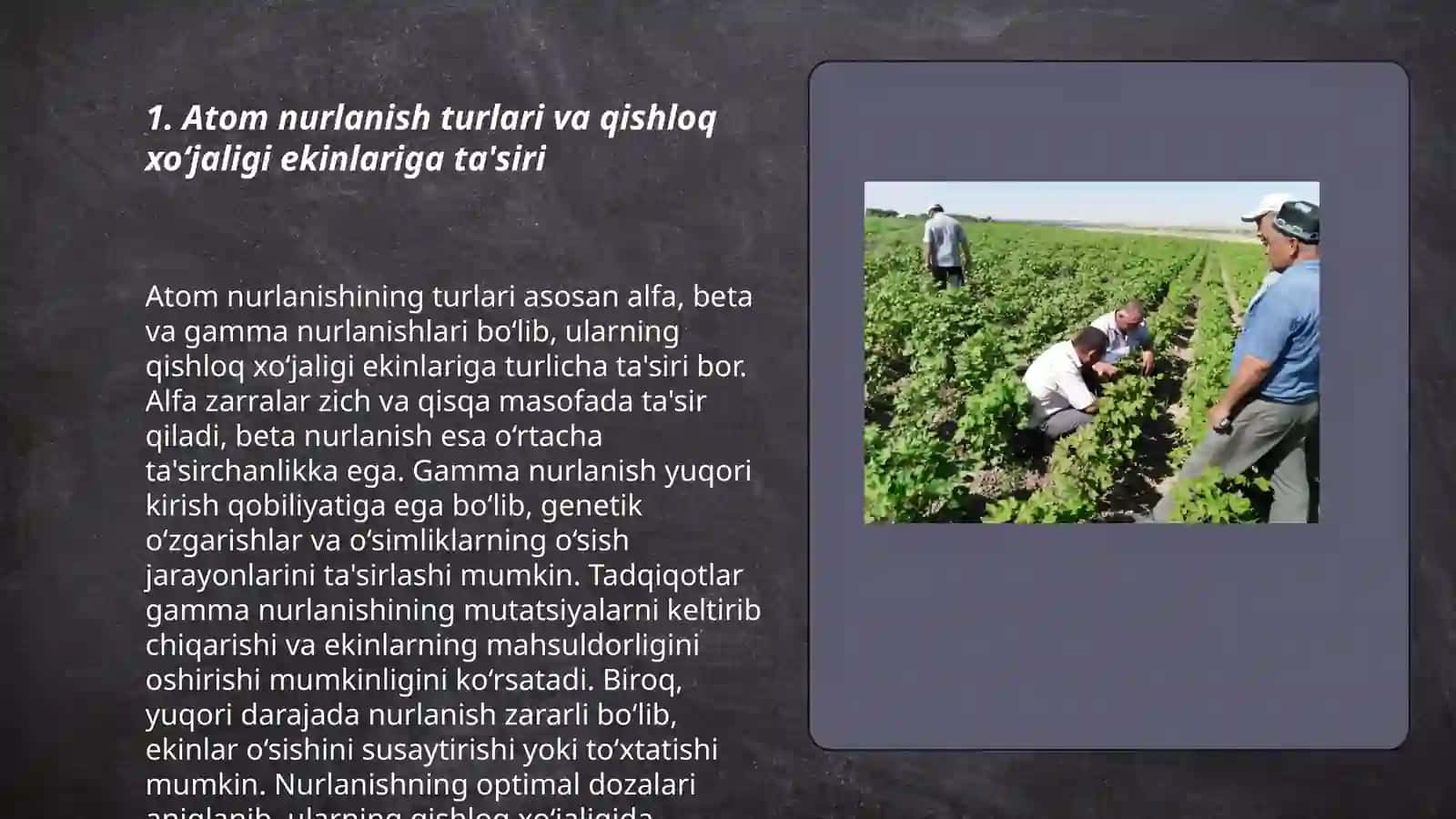 Atom nurlanishning qishloq xoʻjaligi ekinlarga ta'siri 3