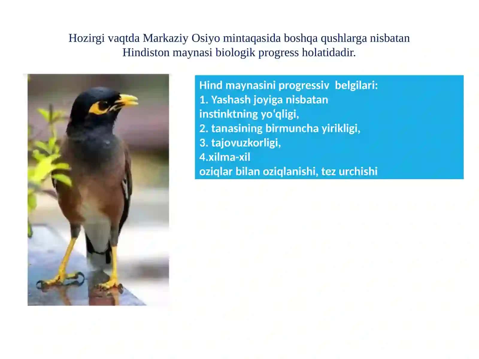 Organikolam evolyutsiyasinig asosiy yo‘nalishlari 3