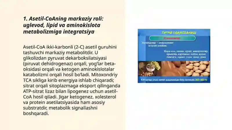 Uglevodlar Lipidlar va Aminokislotalar almashinuvini oʻzaro bogʻliqligi 3