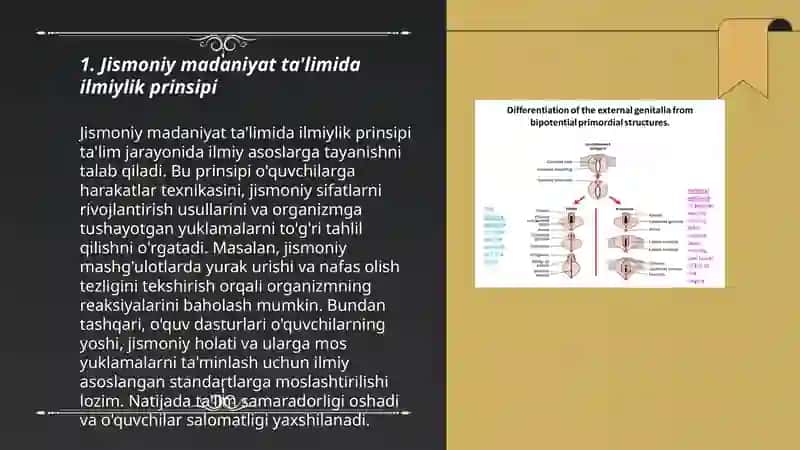 Jismoniy madaniyat ta'limi jarayonining uslubiy tamoillari (prinsiplari) 3