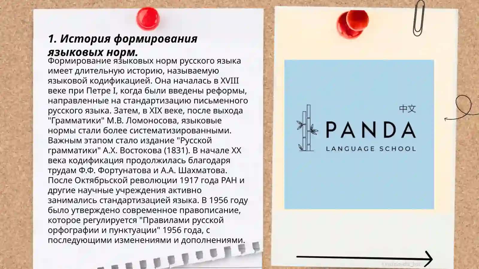 Языковая норма 3