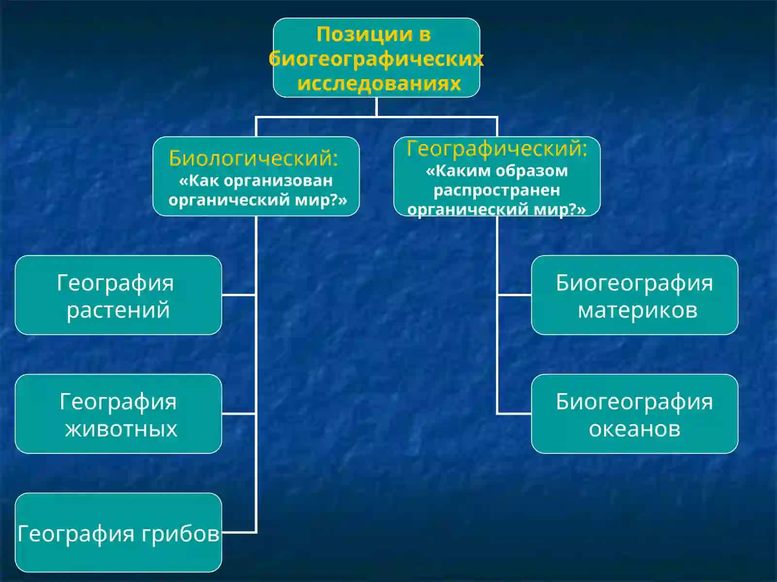 ПРЕДМЕТ, ЗАДАЧИ, МЕТОДЫ И ИСТОРИЯ РАЗВИТИЯ БИОГЕОГРАФИИ 3