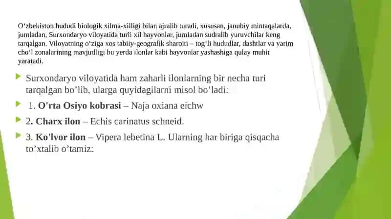 Zoologiya fanidan kurs ishi 3