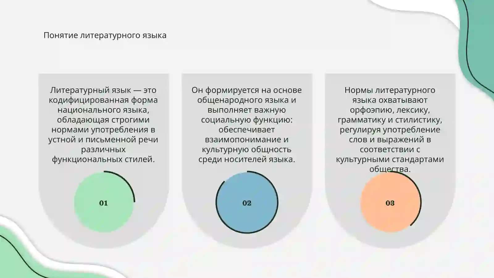 Нормы литературного языка и культура речевого общения 3