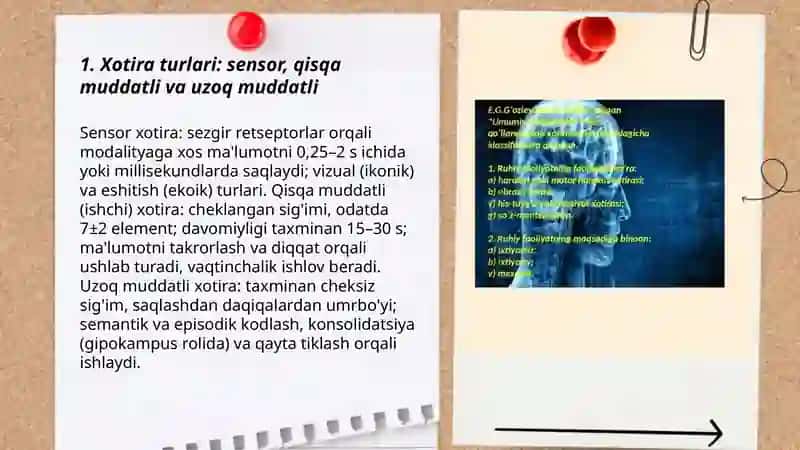 Xotira jarayonlari: mexanizmlar,turlari va rivojlantirish usullari 3