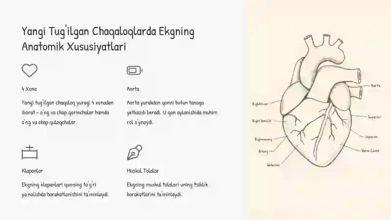 Yangi Tug'ilgan Chaqaloqlarda Ekgning Rivojlanishi 3