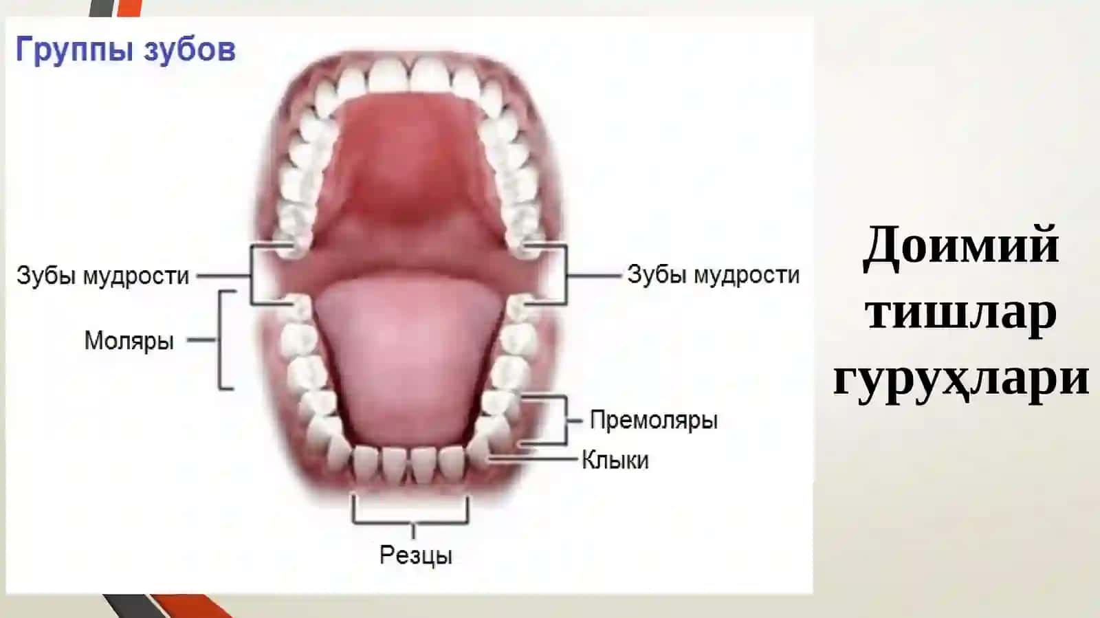 Факультет терапевтик стоматология кафедраси 3