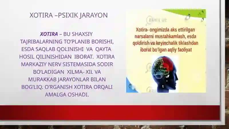 Xotira-psixikjarayon 3