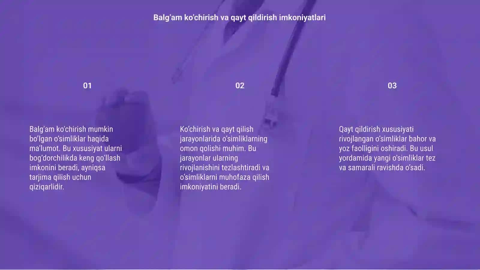 Balg’am ko’chirish, qayt qildirish xususiyati bor o’simliklar 3