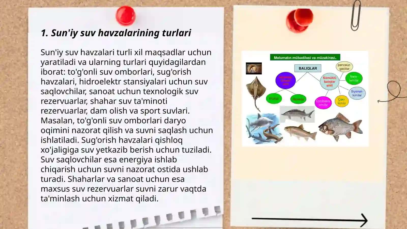 Sun'iy suv havzalarida biotsenuzlar 3