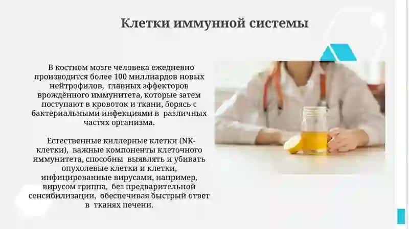 Иммунная система 3