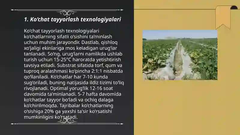 Himoyalangan yerlarda poliz ekinlarini koʻchatchiligini tashkil etish 3