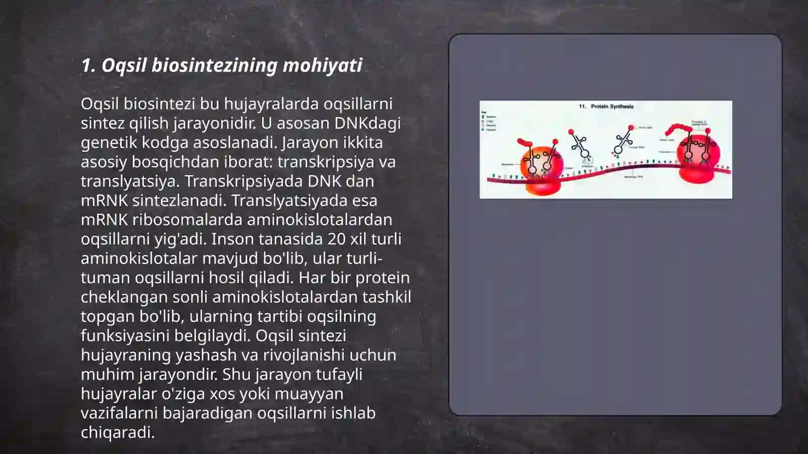 Oqsil biosintezi 3