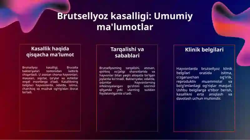 Hayvonlarda brutsellyoz kasalligi va klinik belgilari 3
