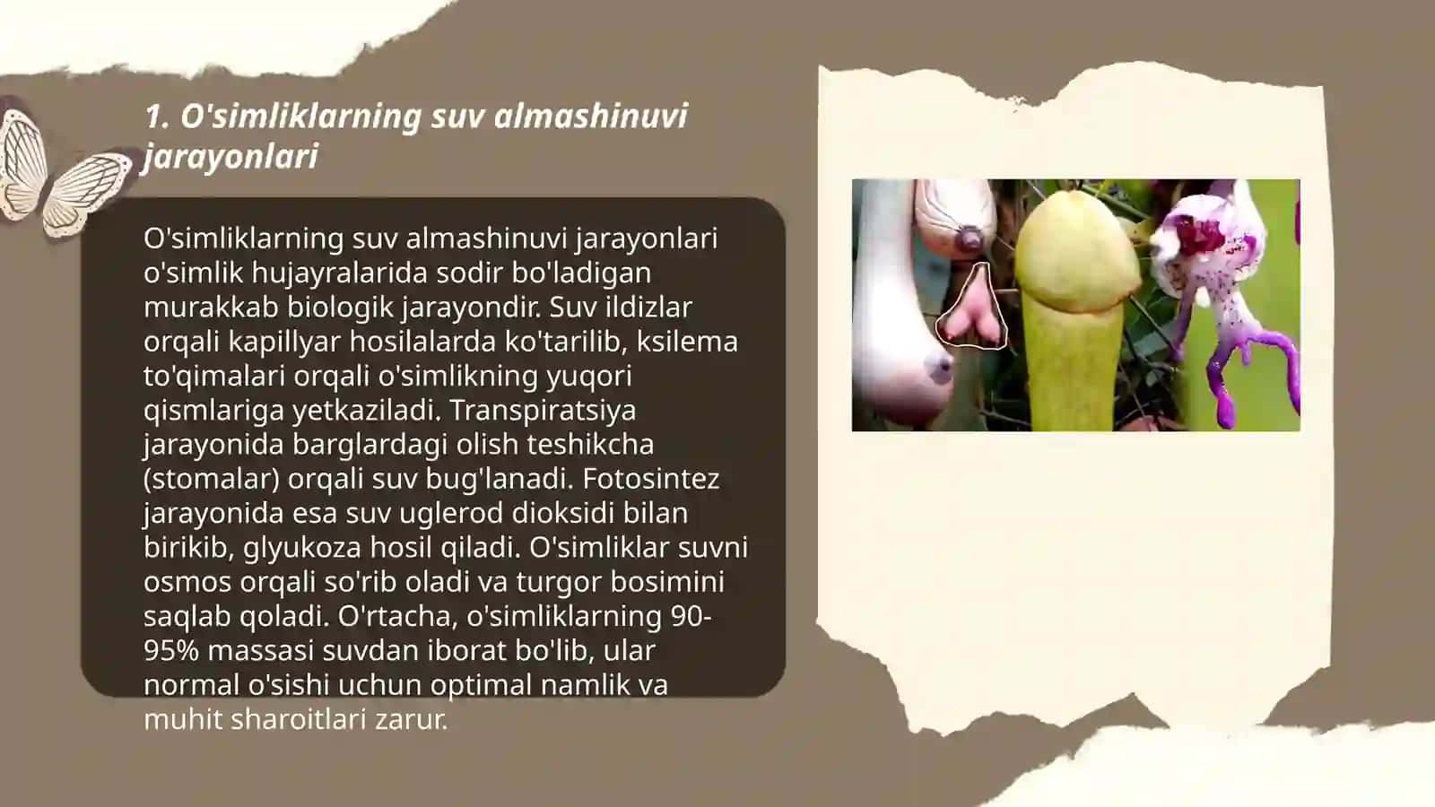 O'simliklar fiziologiyasi 3