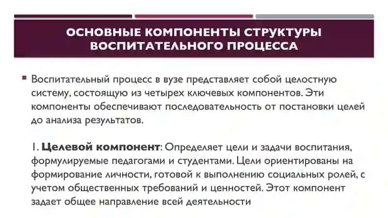 Структура воспитательного процесса в вузе 3