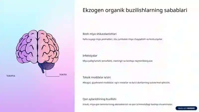 Ekzogen organik ruhiy buzilishlar: Tushuncha va diagnostika 3
