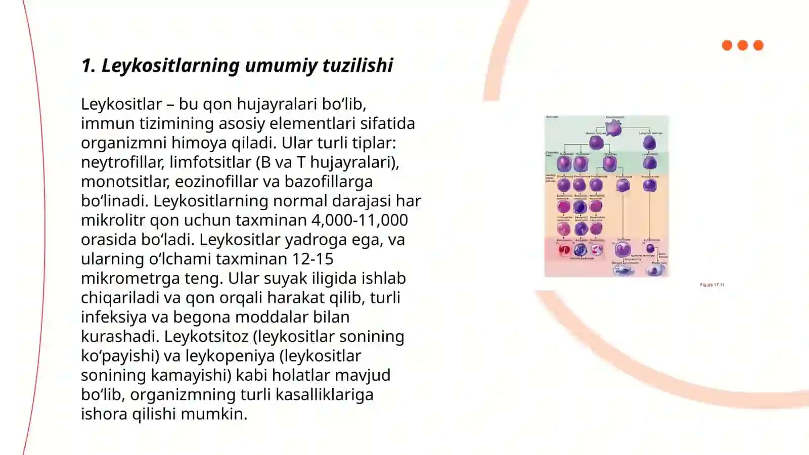 Leykositlar fiziologiyasi va uning turlari 3
