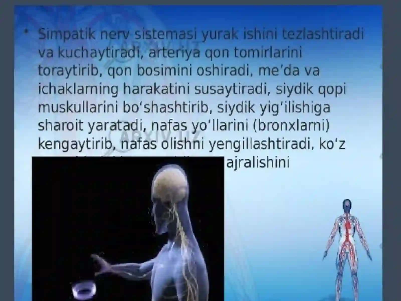Vegetativ nerv sistema faoliyatini o'rganish 3