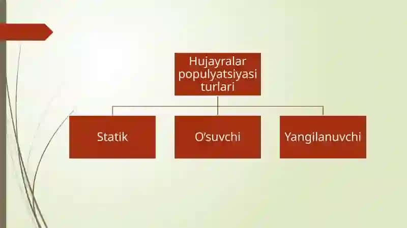 Hujayra Populyatsiyasi 3