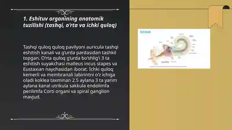 Eshituv va vestibulyar analizatorlar fiziologiyasi 3