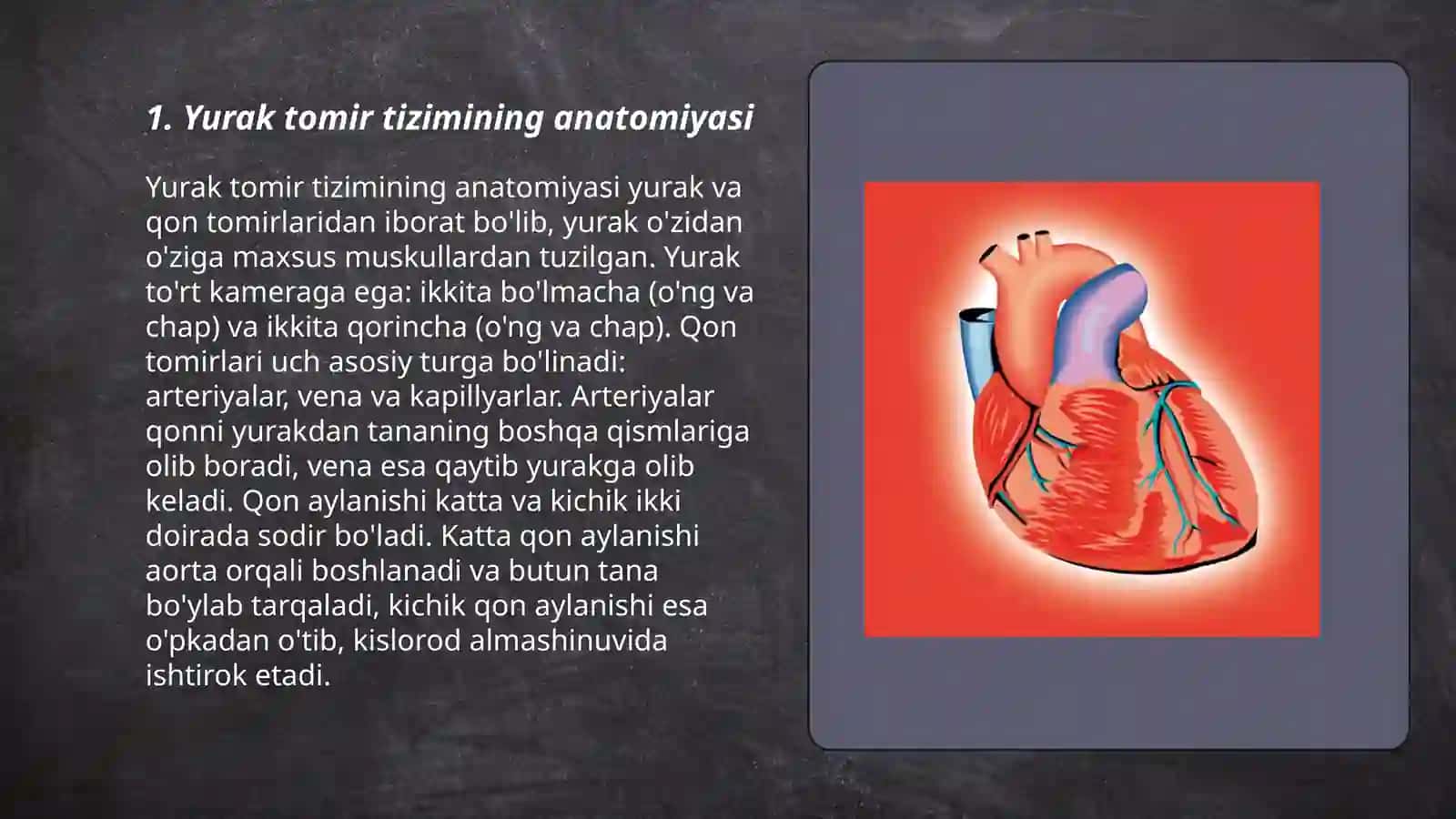 Yurak tomir sistemasiga tasir qiladigan 3