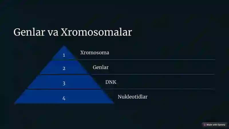 Umumiy Genetika 3