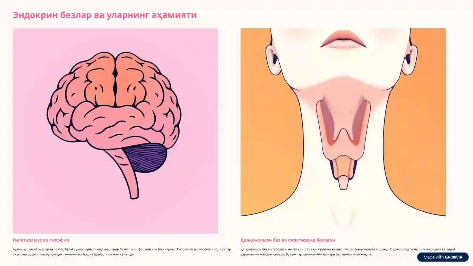 Эндокрин тизим патофизиологиясига кириш 3