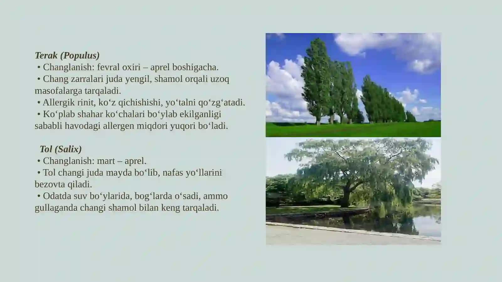 O'zbekistonda daraxtlar, butalar va o'simliklarning changlanish taqvimi va allergik kasalliklar profilaktikasida o'rni 3