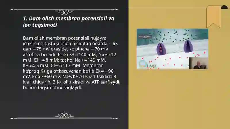 Qo‘zg‘aluvchan toqima fiziologiyasi 3
