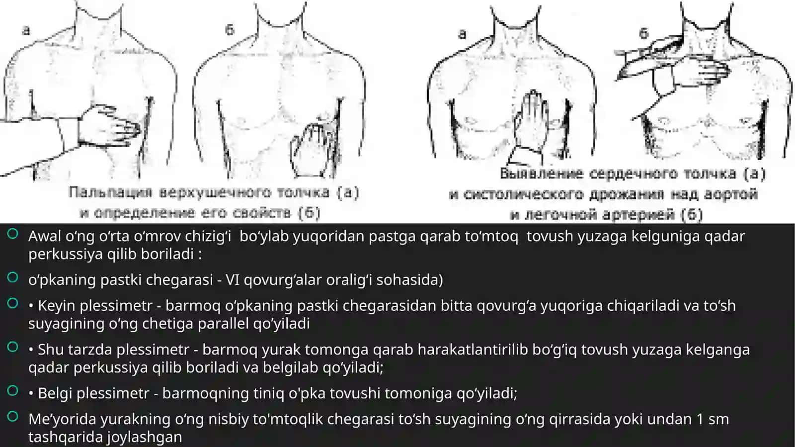 Amaliy ko‘nikmalarni topshirish: yurak perkussiyasi 3