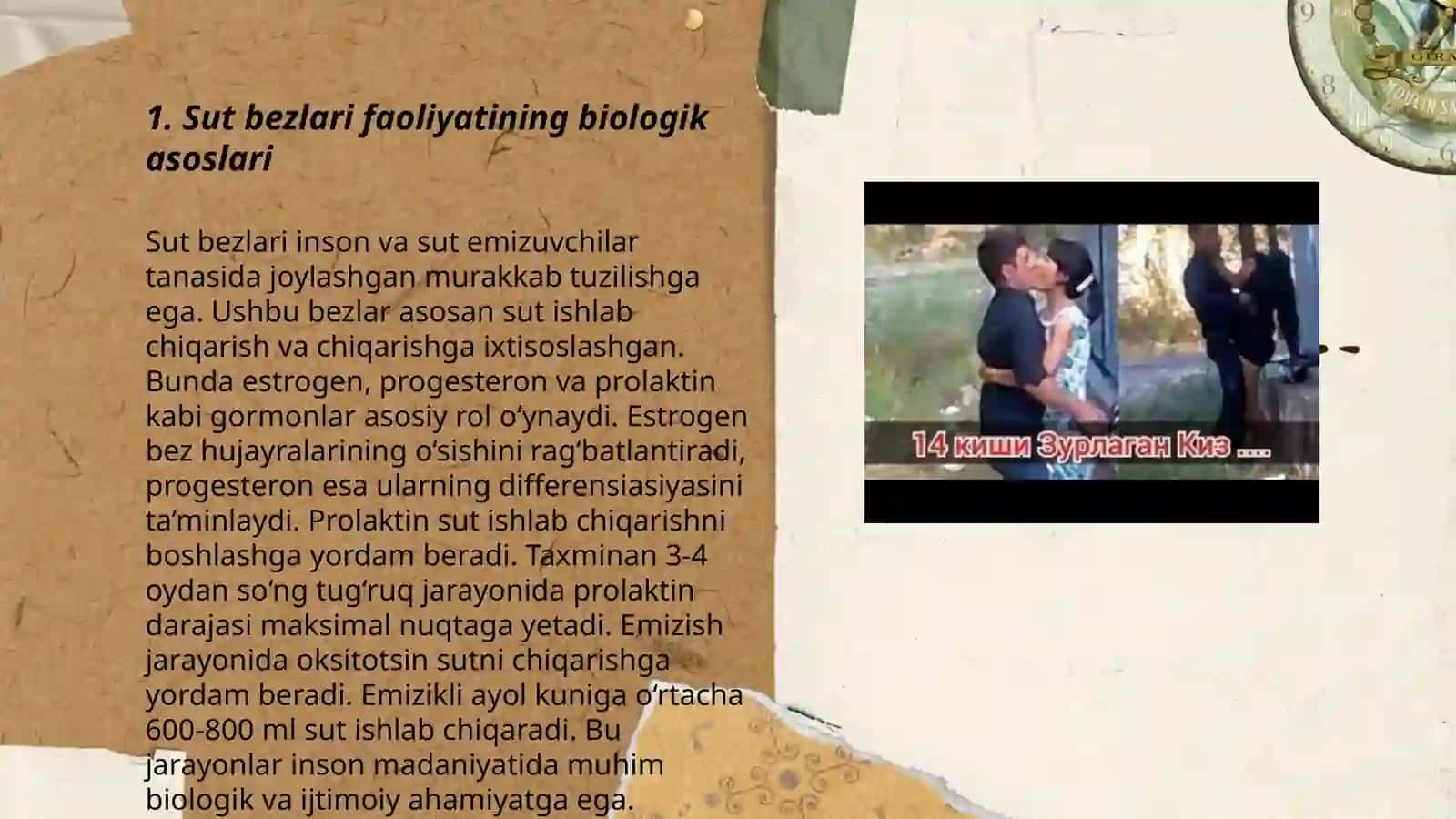 Sut bezlari faoliyatining boshqaruvi, sut bezlarining yoshga qarab o'zgarishi 3