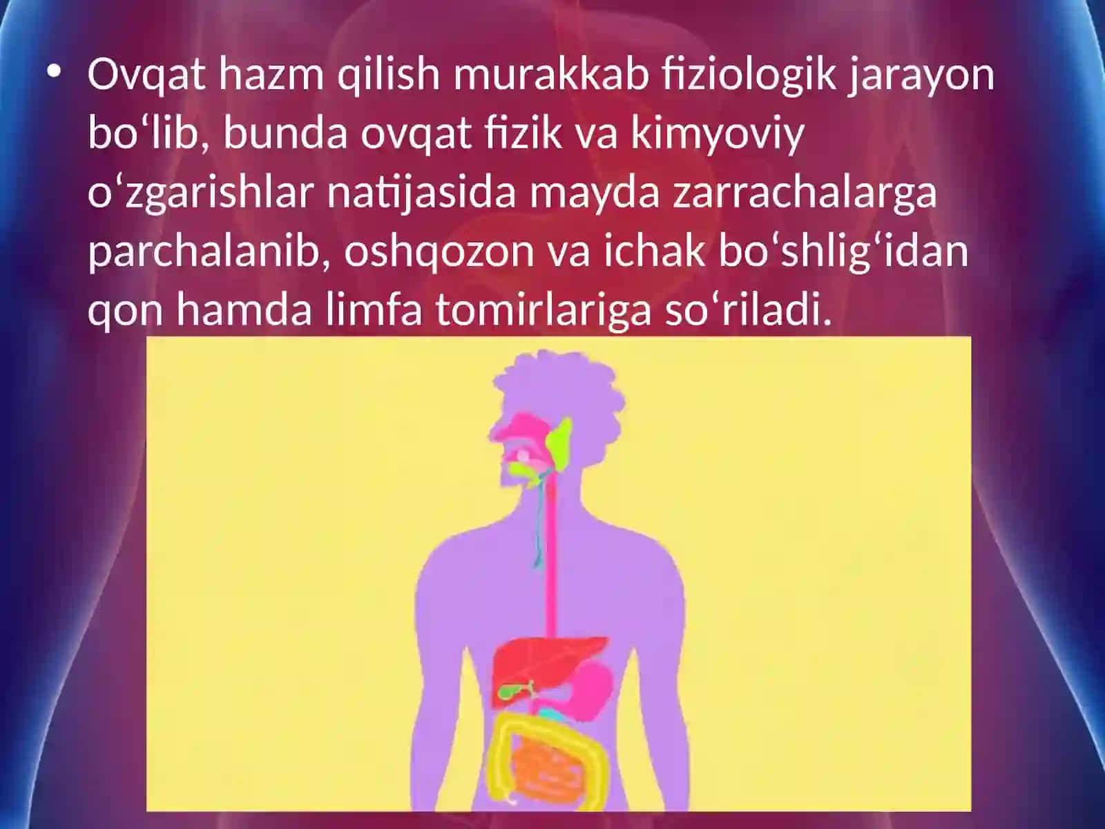 Jigar.Me’da ostibezi Ovqat hazm qilishning boshqarilishi 3