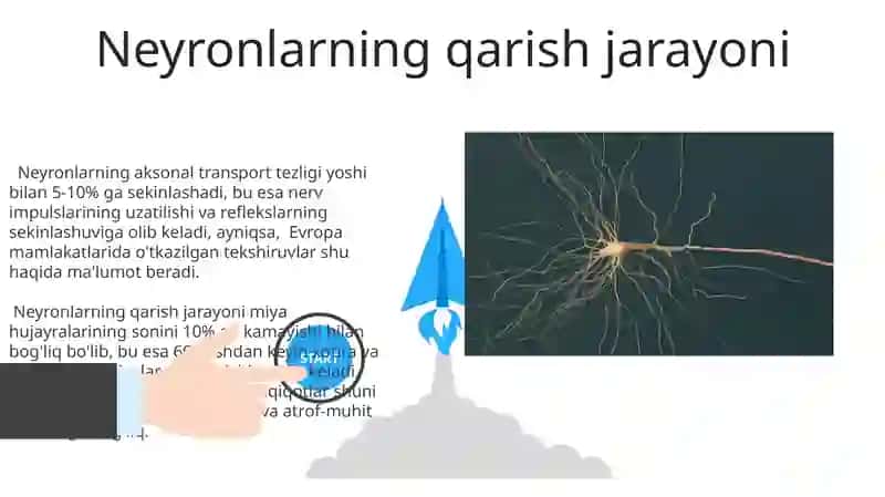 Nerv tzmning yoshga oid umumiy fiziologyasi va gigeniyasi 3