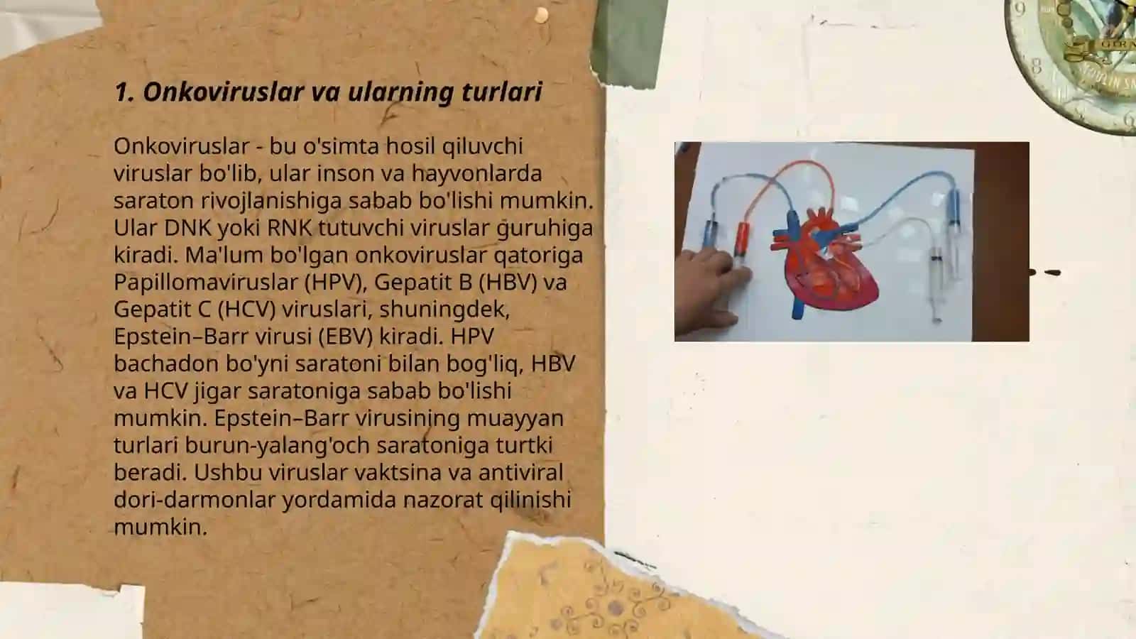 Onkoviruslar va ularning turlari 3