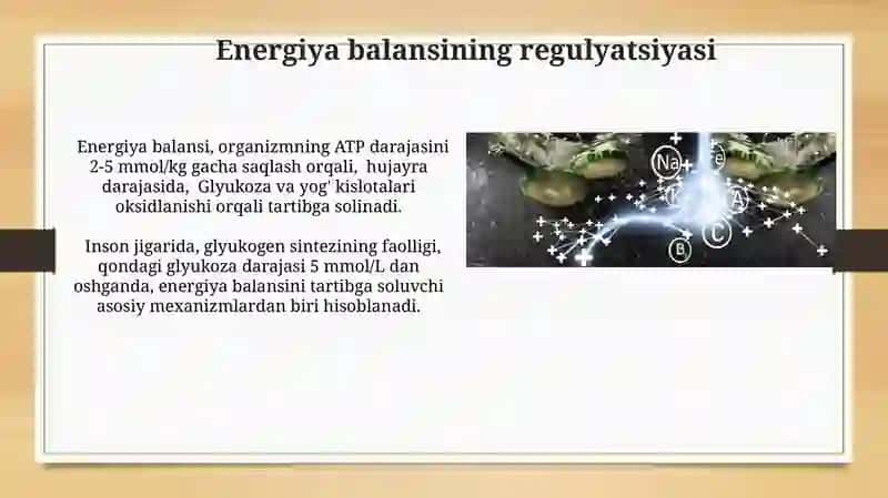 Metabolizm jarayonida energiya hosil bo'lishi va sarflanishi 3