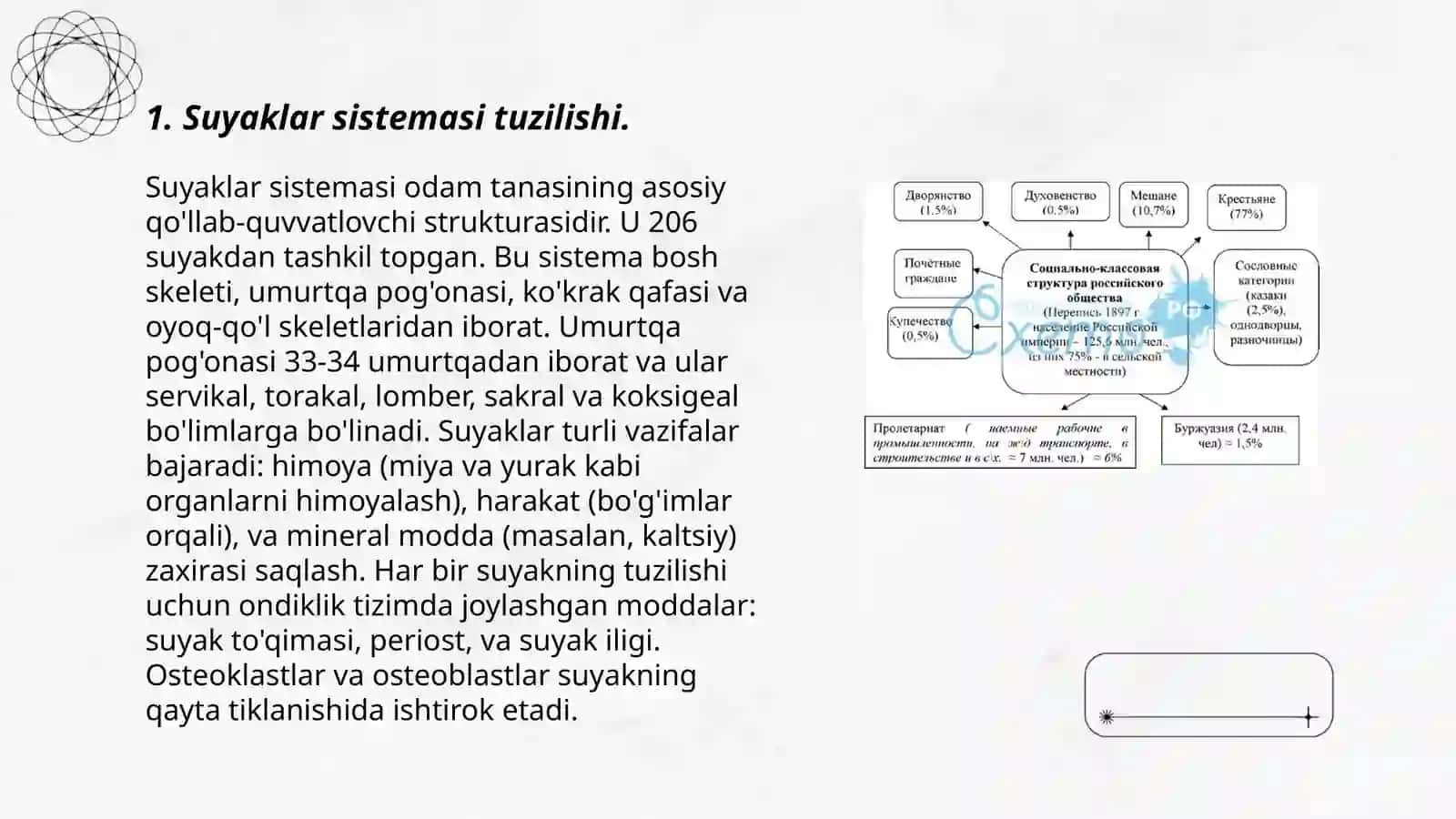 Suyaklar sistemasi tuzilishi va topografiya. Suyaklarning birikishi. Boʻgʻimlarning turlari 3