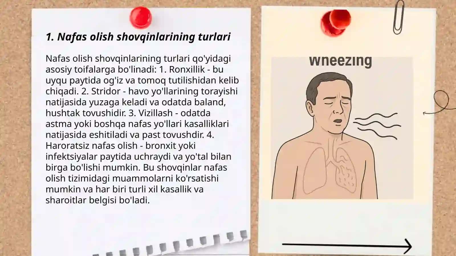Nojo'ya nafas shovqinlari. Ularning tavsifi, kelib chiqishi va sabablari 3