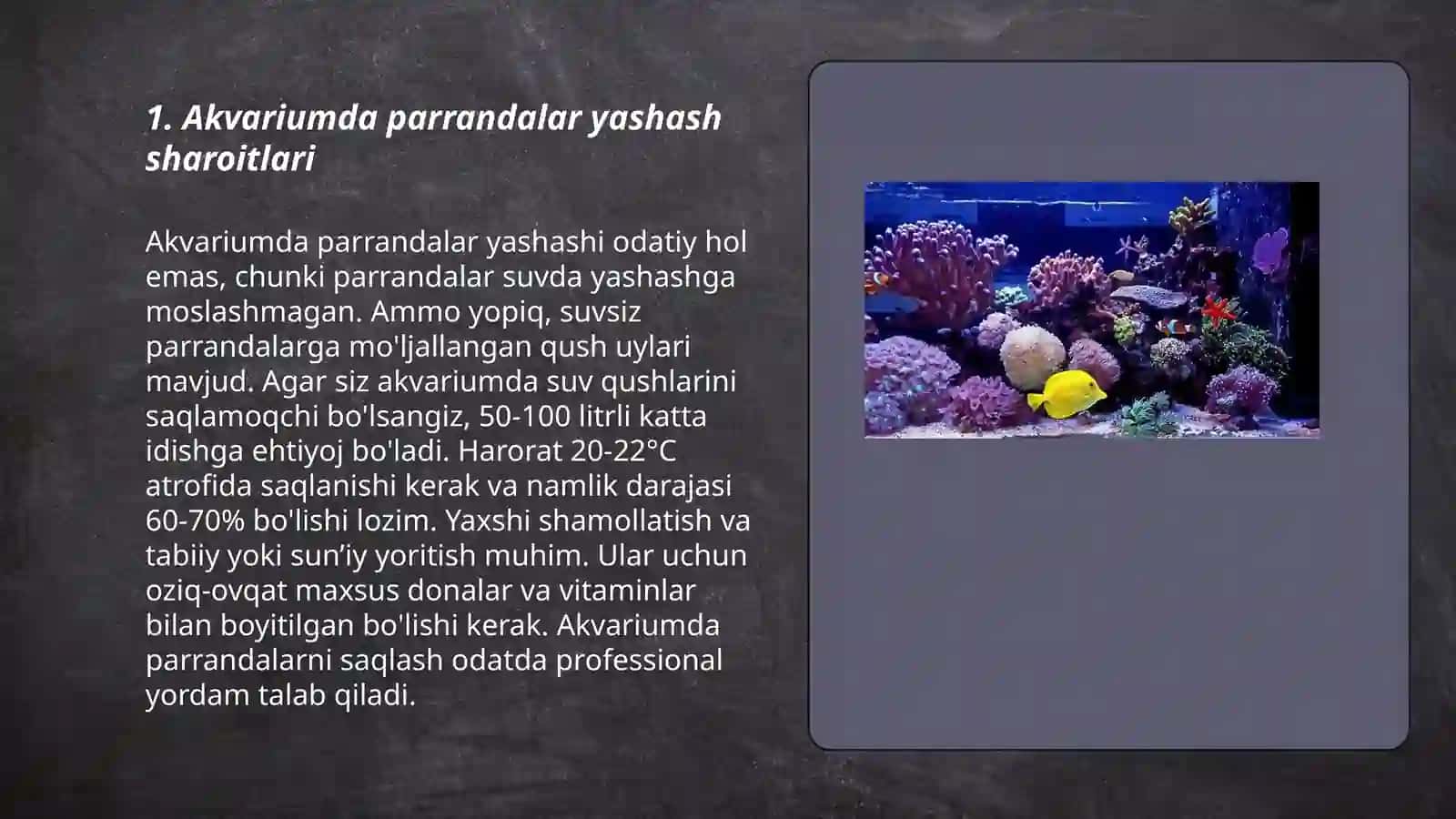 Akvariumda va teraryumda yashovchi parrandalarni yashash sharoitlari 3