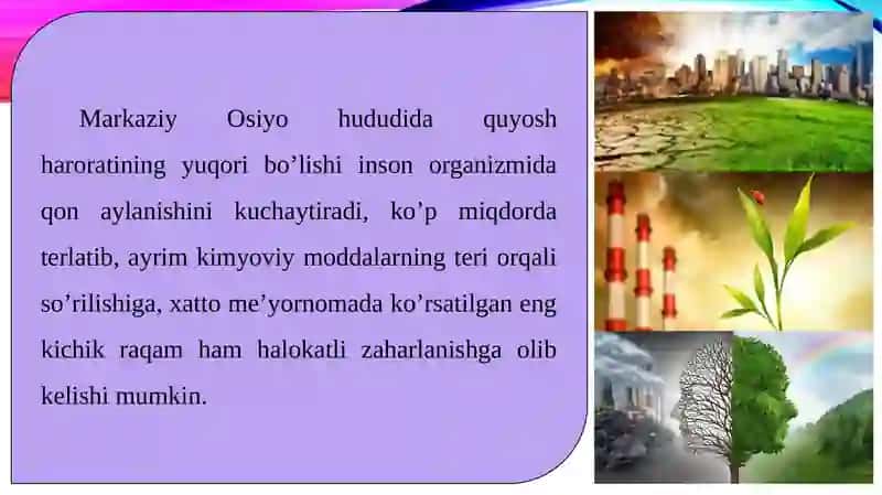 O’zbekistondagi ekalogik muammolar va ularni hal qilish usullari 3