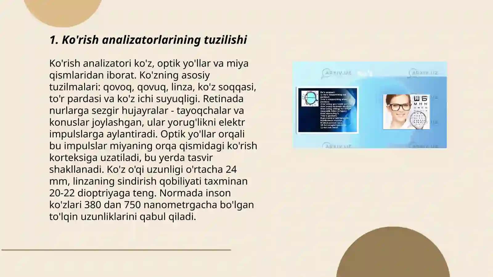 Ko'rish analizatorlari 3