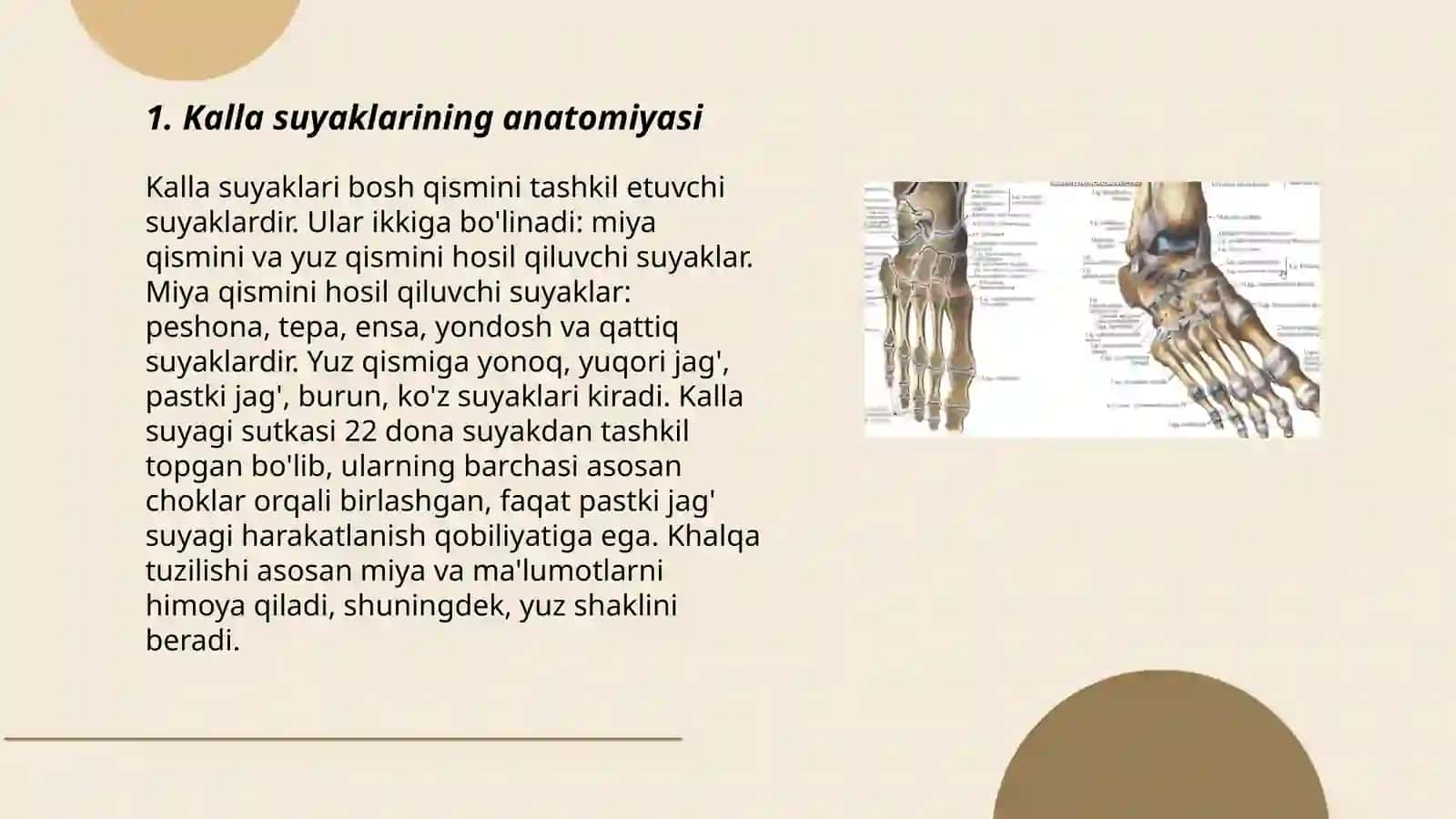 Kalla suyaklari 3