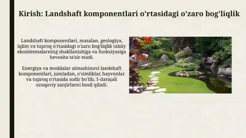 Landshaft komponentlari o'rtasidagi o'zaro aloqalar 3