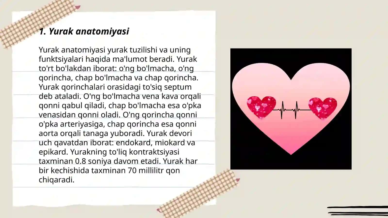 Yurak anatomiyasi 3
