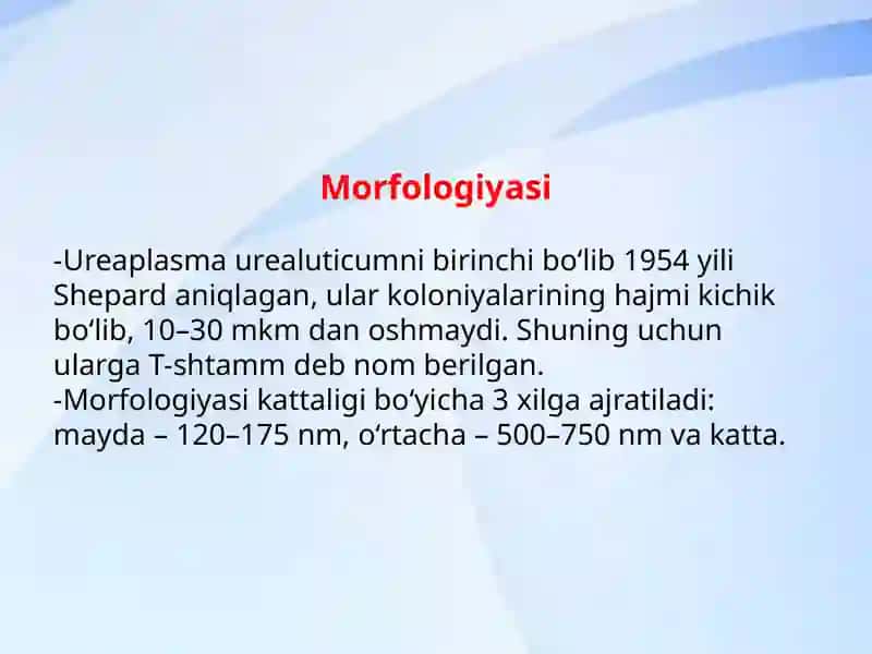 Mikrobiologiya fanidan mustaqil ish 3