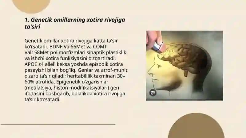 Xotira rivojining asosiy omillari va shart sharoitlari 3