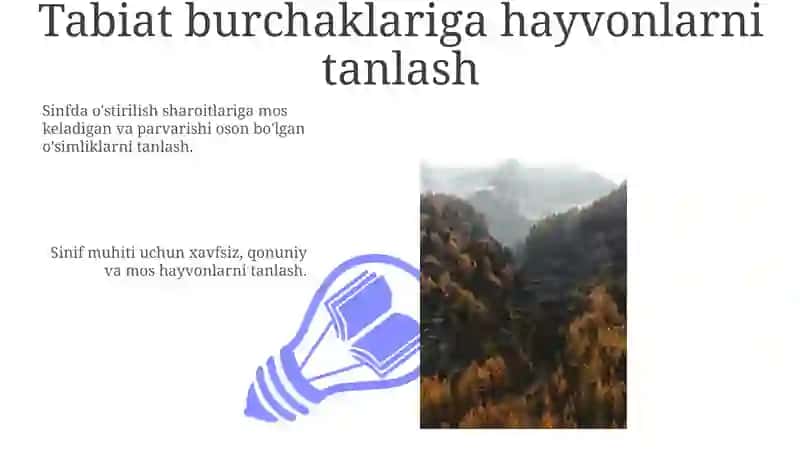 Tabiat burchaklarida O'simliklar va Hayvonlarga G'amxo'rlik qilish 3