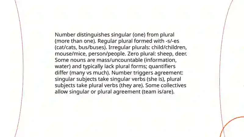 Morphological categories 3