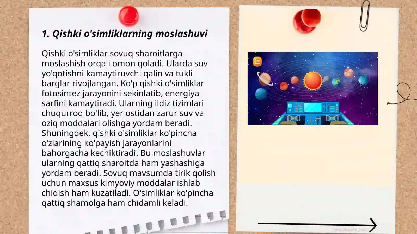 Tabiiy fan- Qish 3
